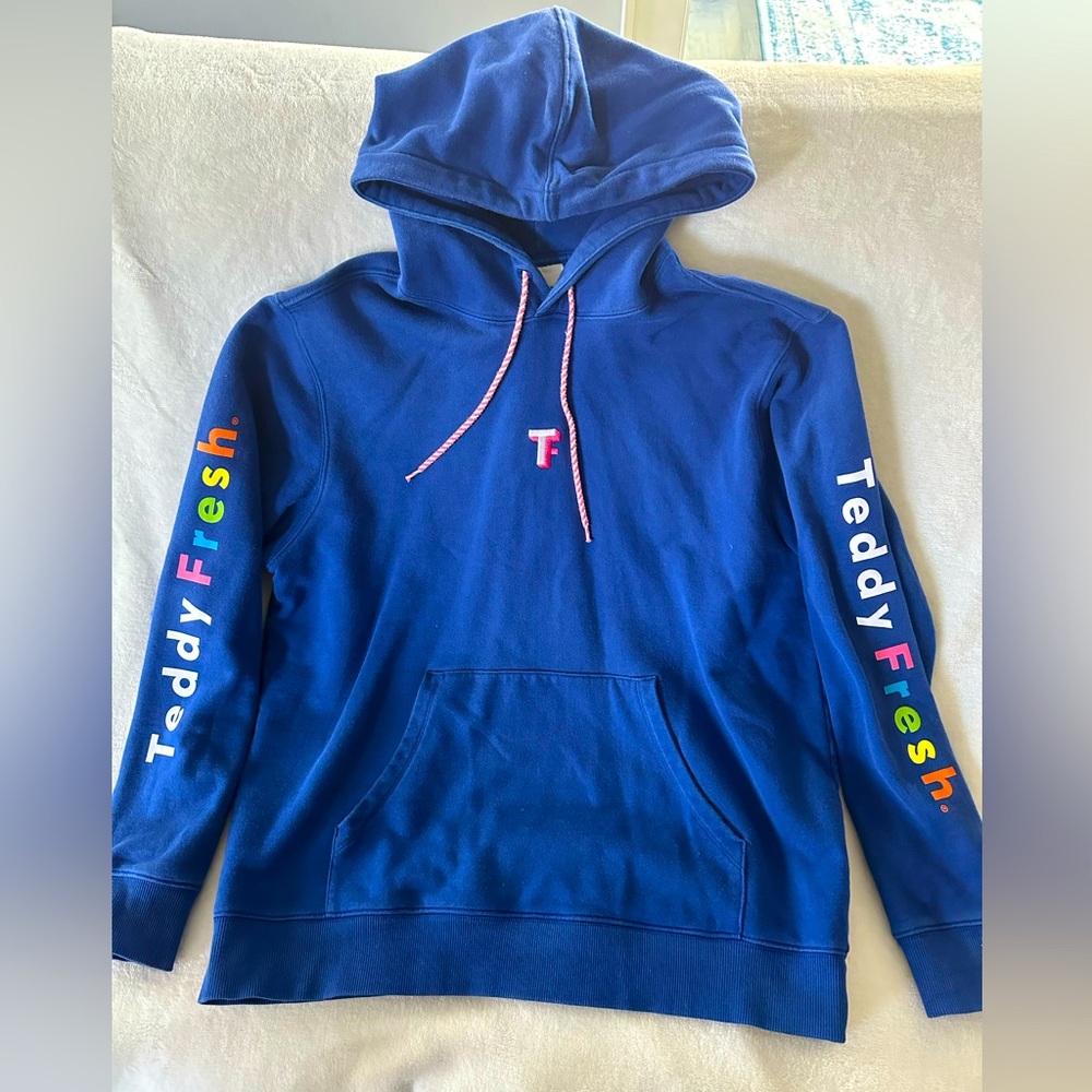 Teddy Fresh Hoodie sz Large
